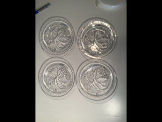 Pioni-lautaset (Oiva Toikka) 4 kpl