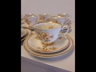 Arabian Myrna astiasto