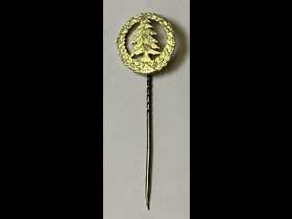 Kultainen rintamerkki