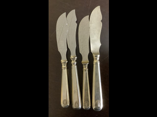 Hopeisia aterimia 4 kpl